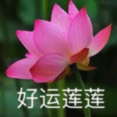 虎啸三国变态版下载